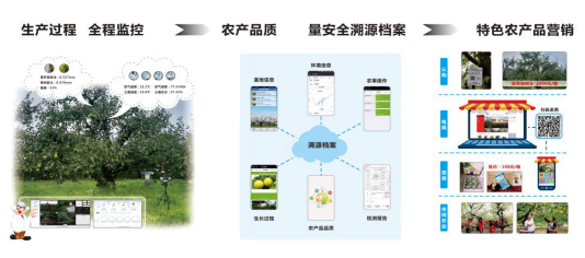 托普云農(nóng)提供服務于農(nóng)業(yè)全產(chǎn)業(yè)鏈信息化綜合解決方案