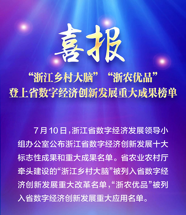 喜報！“浙江鄉(xiāng)村大腦”登上省數(shù)字經(jīng)濟創(chuàng)新發(fā)展重大成果榜單